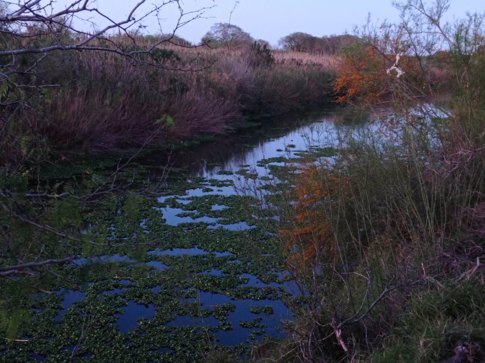 Se ahoga mujer en el río Bravo