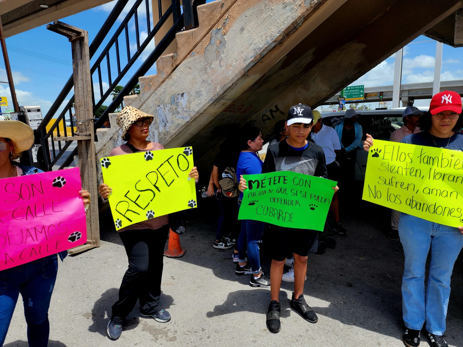 Marchan por muerte de perra