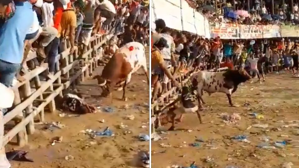 Joven de 17 años muere tras ser embestido brutalmente por un toro durante corrida