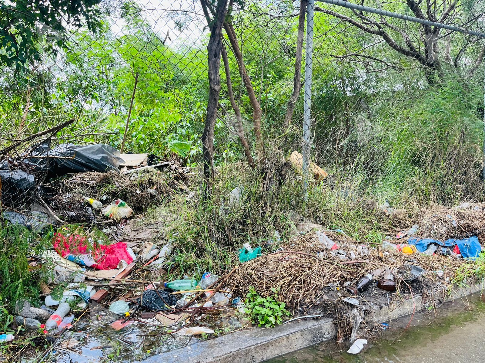 Basura provoca encharcamientos e inundaciones