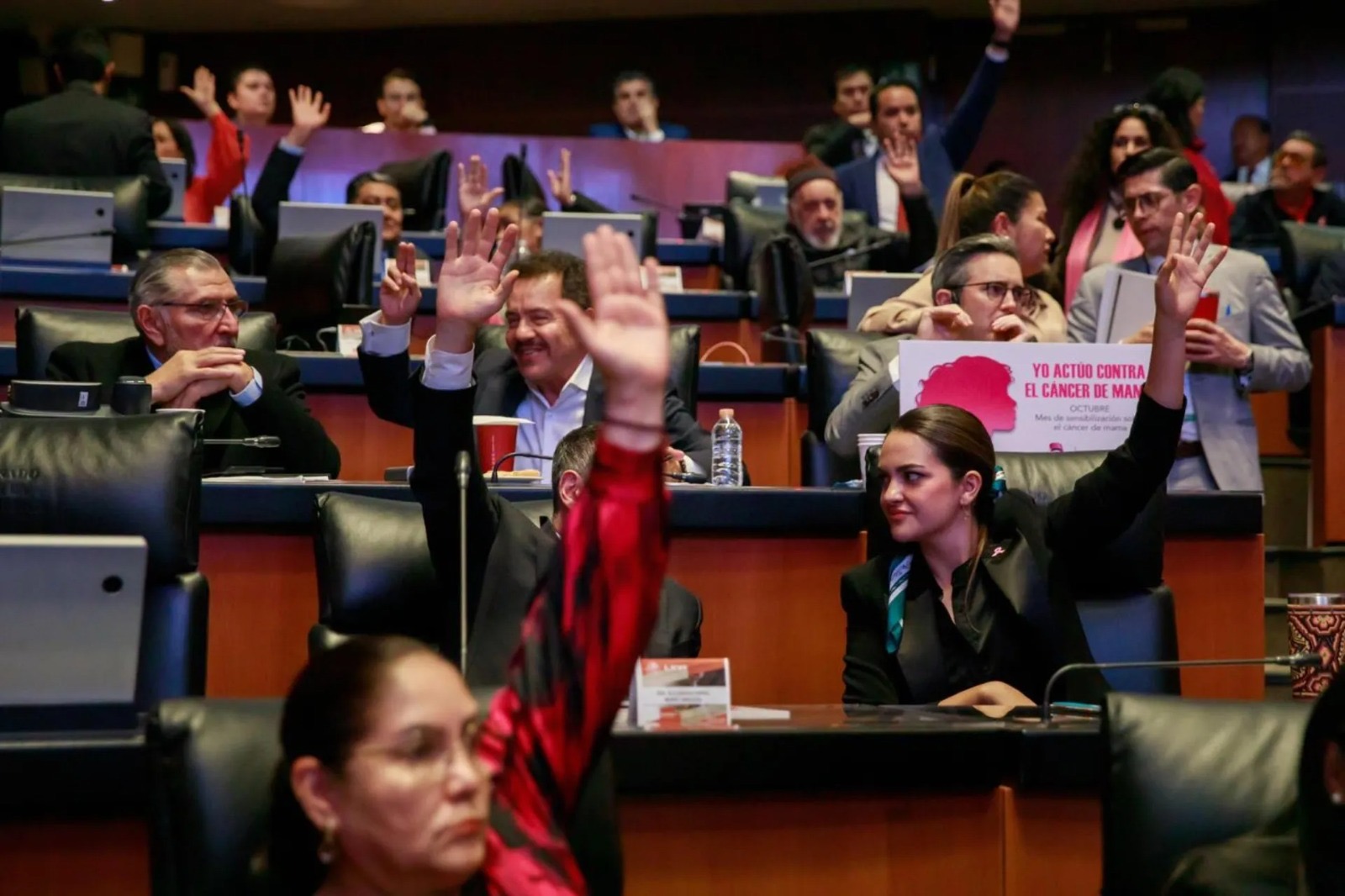 Senado aprueba que CFE y Pemex se conviertan en “empresas públicas”