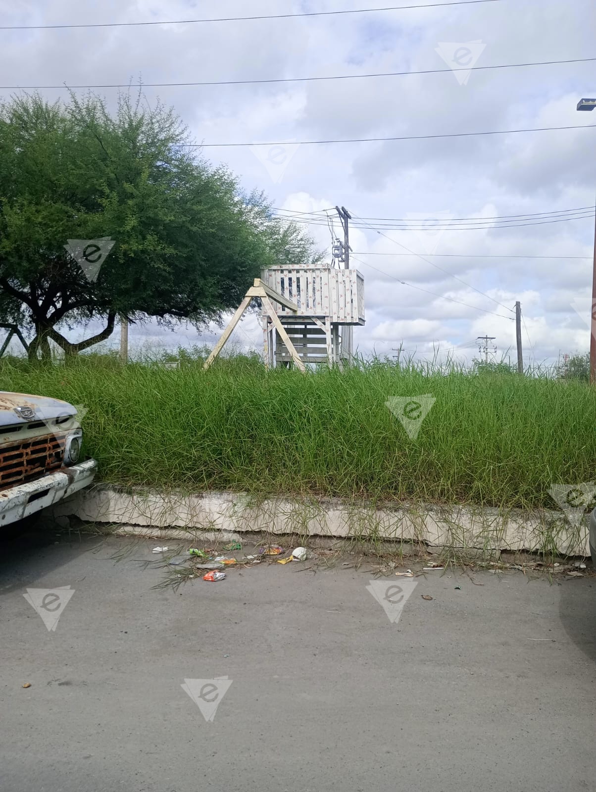 Piden limpieza para parque