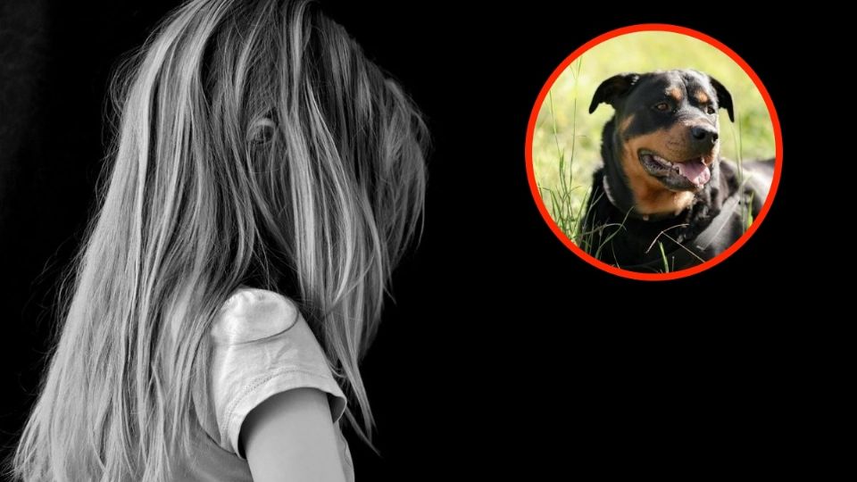 Mujer asesina a golpes a su hijastra de 9 años y ordena a su perro rottweiler que se coma el cuerpo