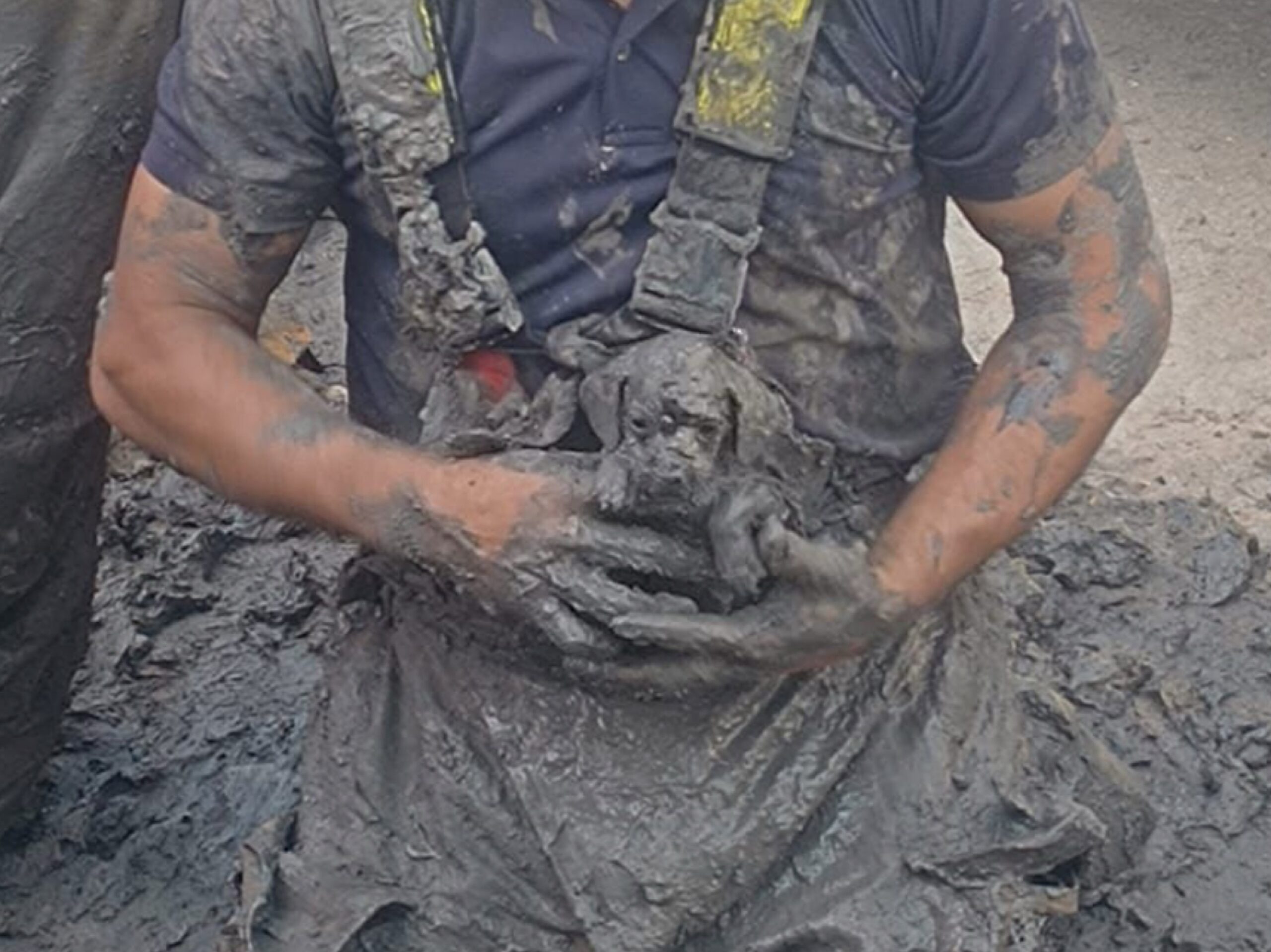 Recompensan a bomberos que rescataron cachorro