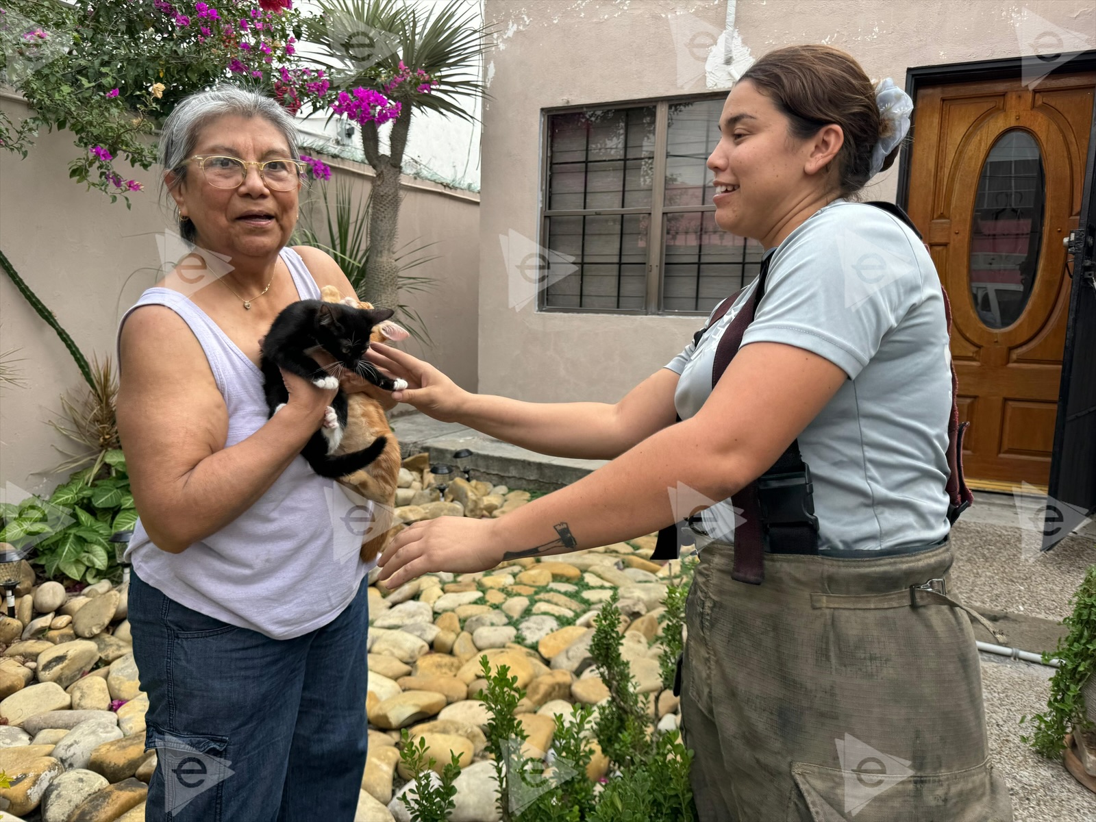 Bomberos rescatan a gatitos