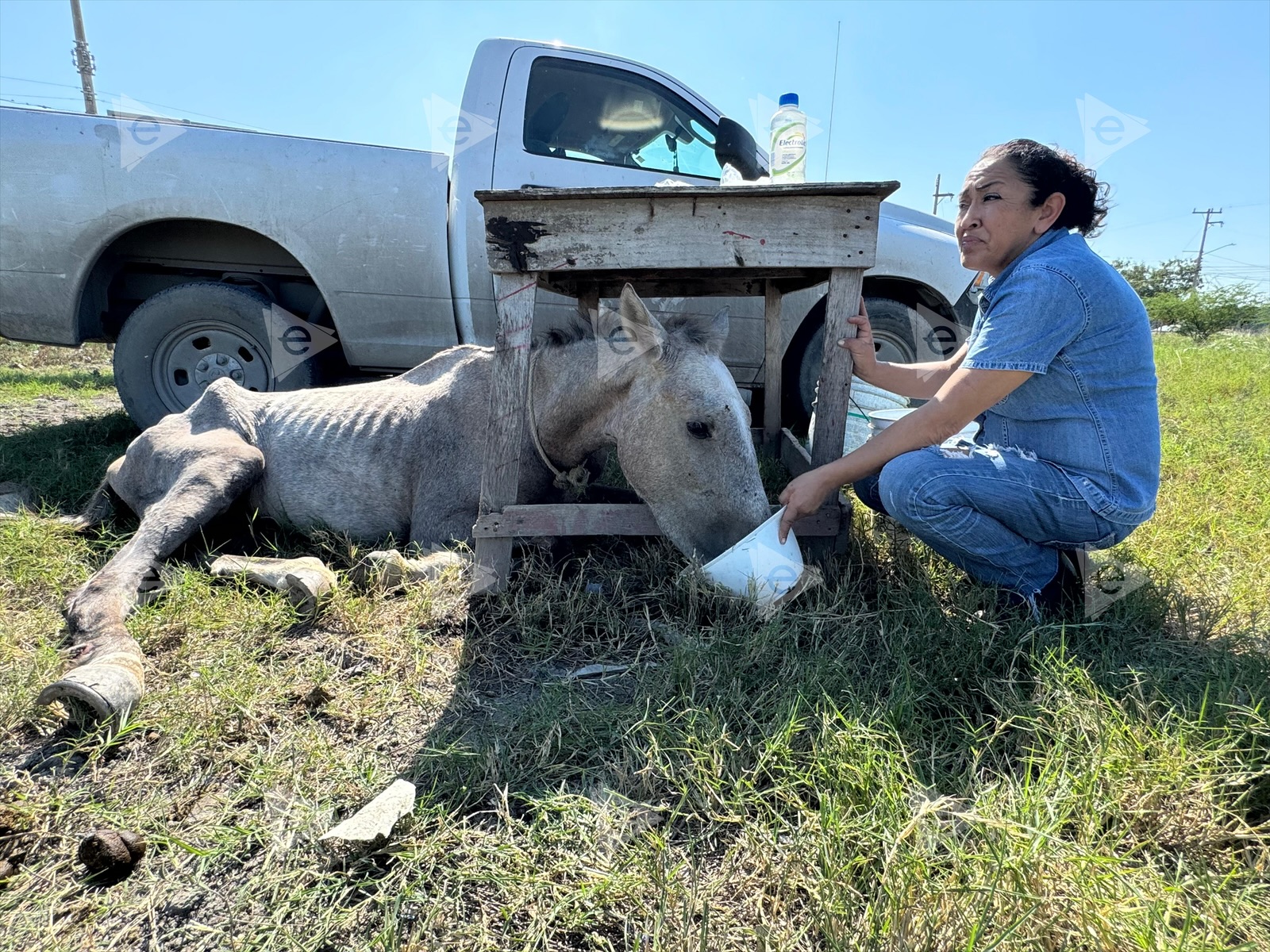 Abandonan a caballo 