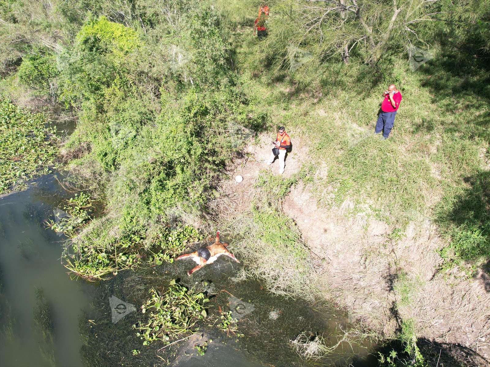 Hallan cadáver en río Bravo