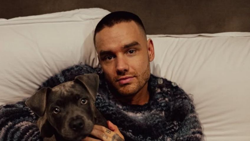 Liam Payne habría caído por el balcón al intentar escapar del hotel, revelan supuestas pruebas