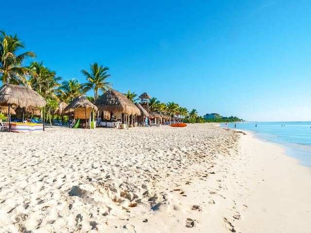 ¡Aguas en las vacaciones!: Alertan por playas contaminadas