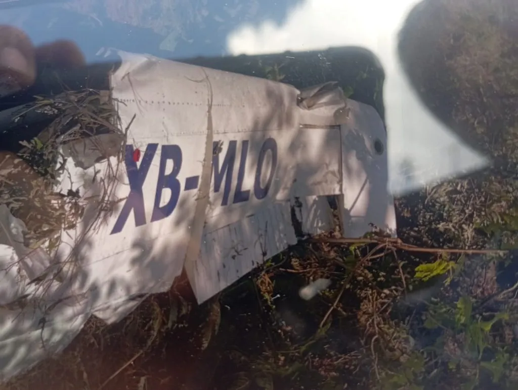 Desplome de avioneta en Jalisco deja al menos siete muertos