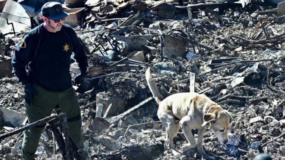 Buscan más cadáveres en Los Ángeles tras devastadores incendios