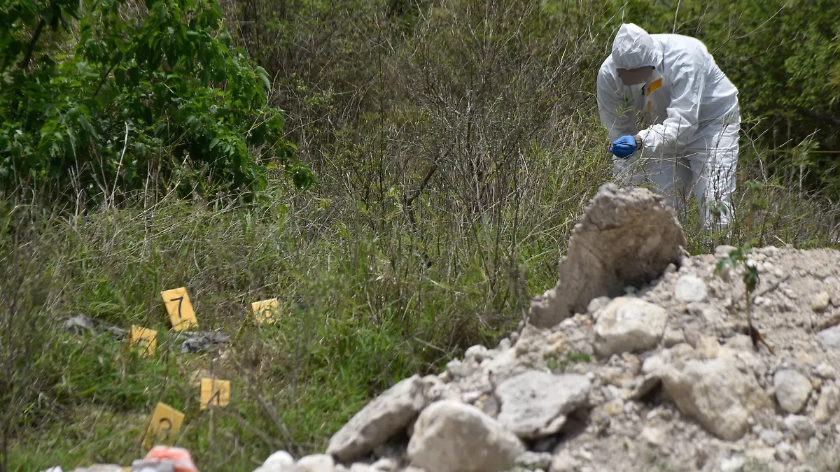 Hallan 56 cadáveres en fosas clandestinas