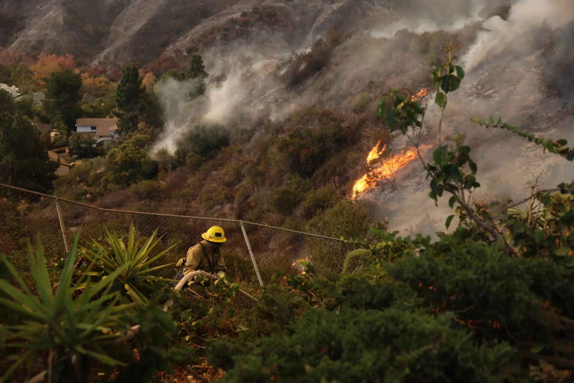 Trump califica de “incompetentes” a políticos a cargo de los incendios en Los Ángeles